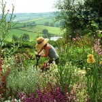 Alison at work